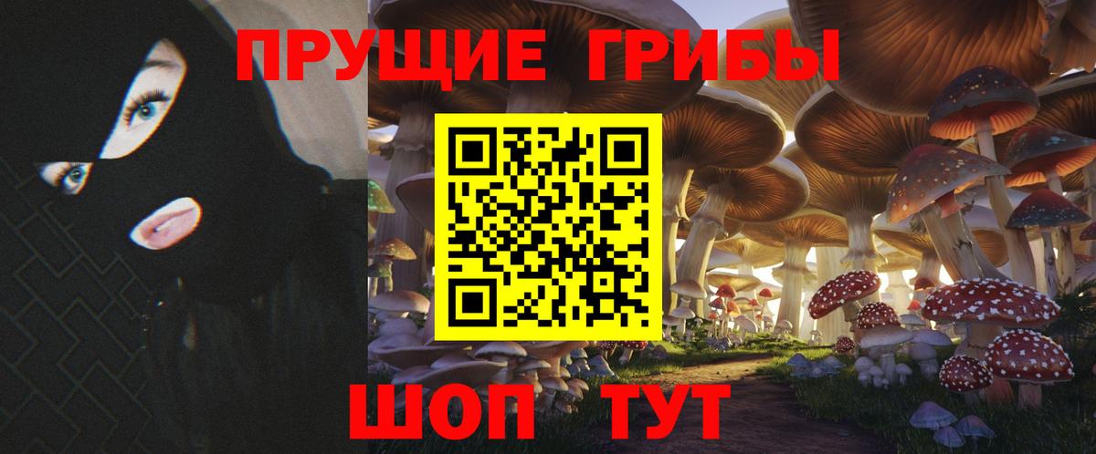 Псилоцибиновые грибы мицелий  Псилоцибиновые грибы мицелий  Гатчина  Вход с VPN 